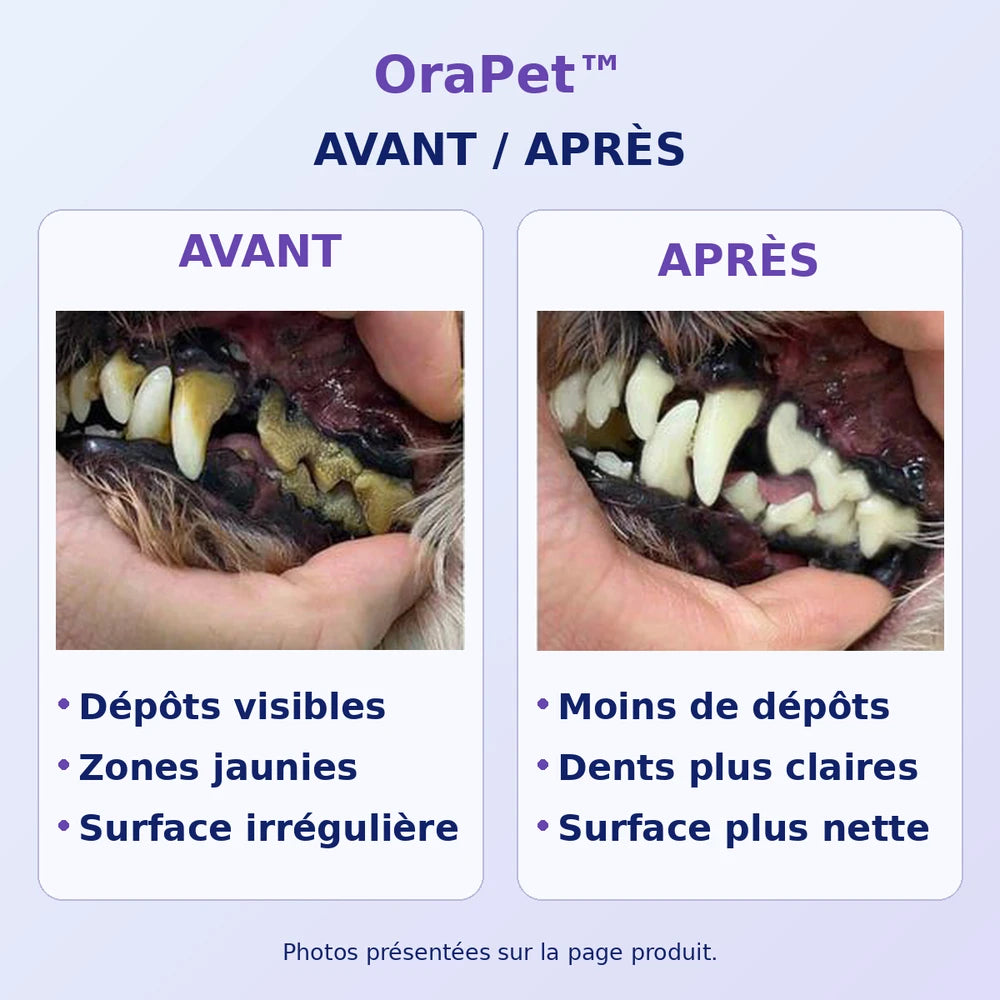 -50 % · OFFRE LIMITÉE · OraPet™ ·  Des dents et des gencives saines grâce au spray dentaire pour animaux !