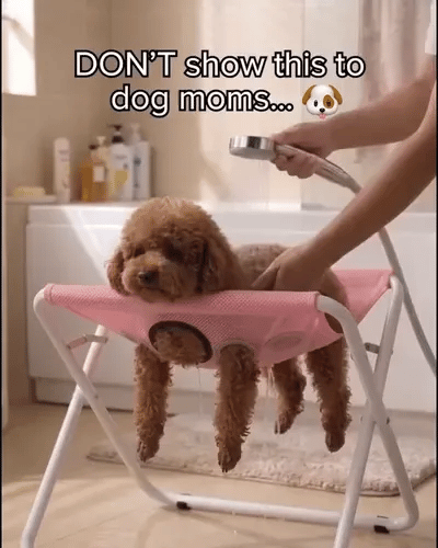 -50 % · OFFRE LIMITÉE · GroomStation™ · Table de toilettage