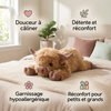-50 % · OFFRE LIMITÉE · CozyHug™ · Peluche lestée vache Highland