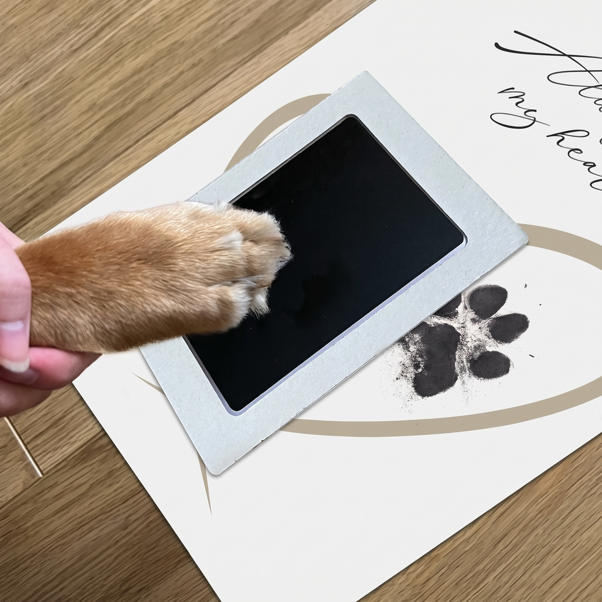 -50 % · OFFRE LIMITÉE · PawMemoirs™ · Souvenirs avec empreintes de pattes