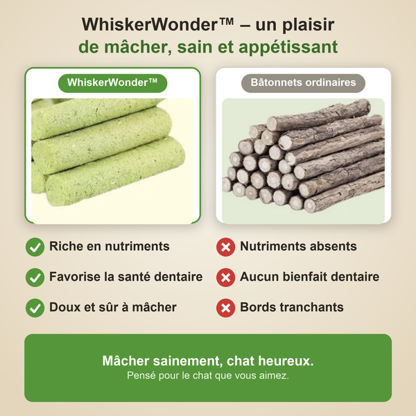 1+1 OFFERT · AUJOURD