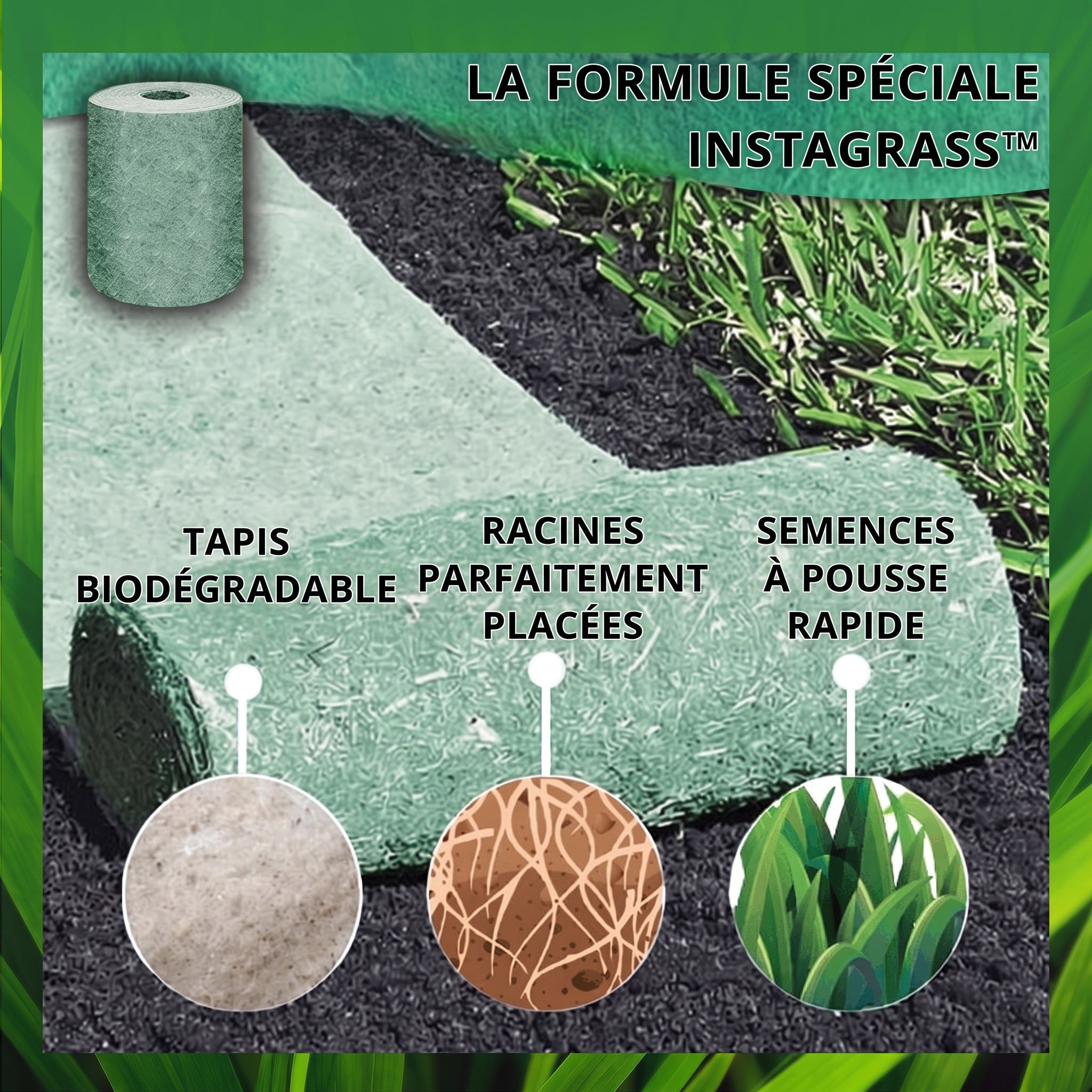 1+1 OFFERT · AUJOURD'HUI · InstaGrass™ · Une pelouse luxuriante sans entretien !