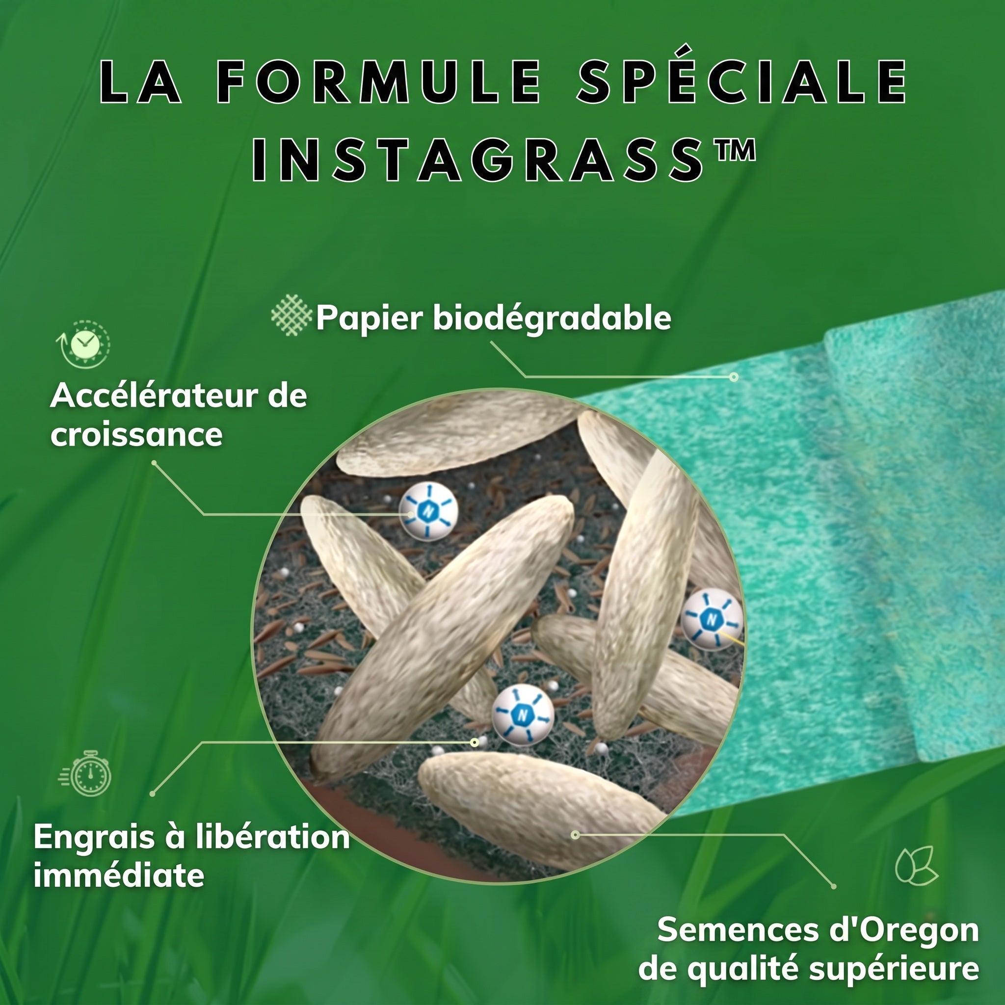 1+1 OFFERT · AUJOURD'HUI · InstaGrass™ · Une pelouse luxuriante sans entretien !