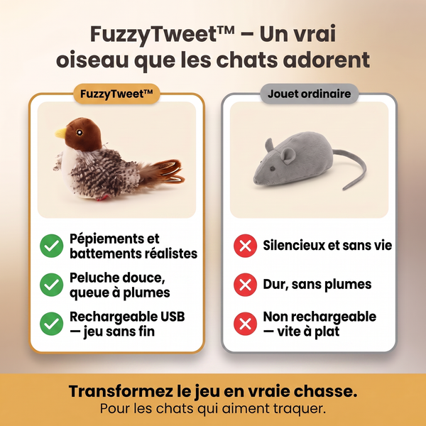 1+1 OFFERT · AUJOURD
