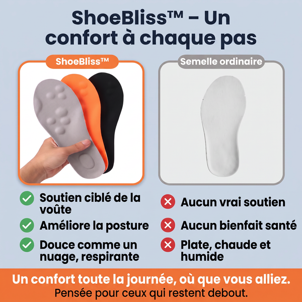 1+1 OFFERT · AUJOURD