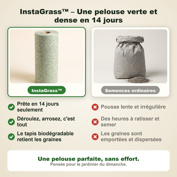 1+1 OFFERT · AUJOURD