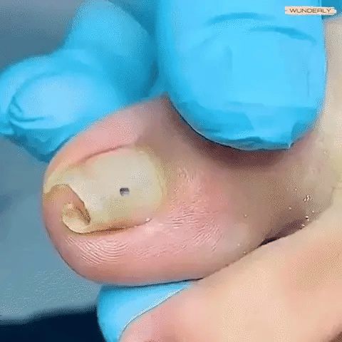 1 + 1 GRATUIT AUJOURD