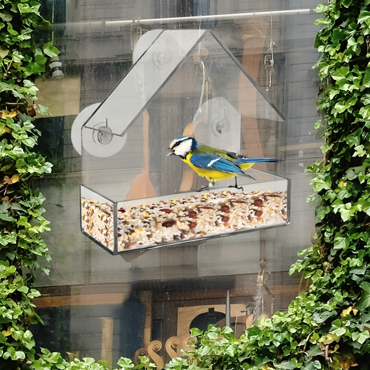50 % DE REMISE TEMPORAIRE | PerchView™ | Transformez votre fenêtre en une réserve naturelle personnelle pour les oiseaux !