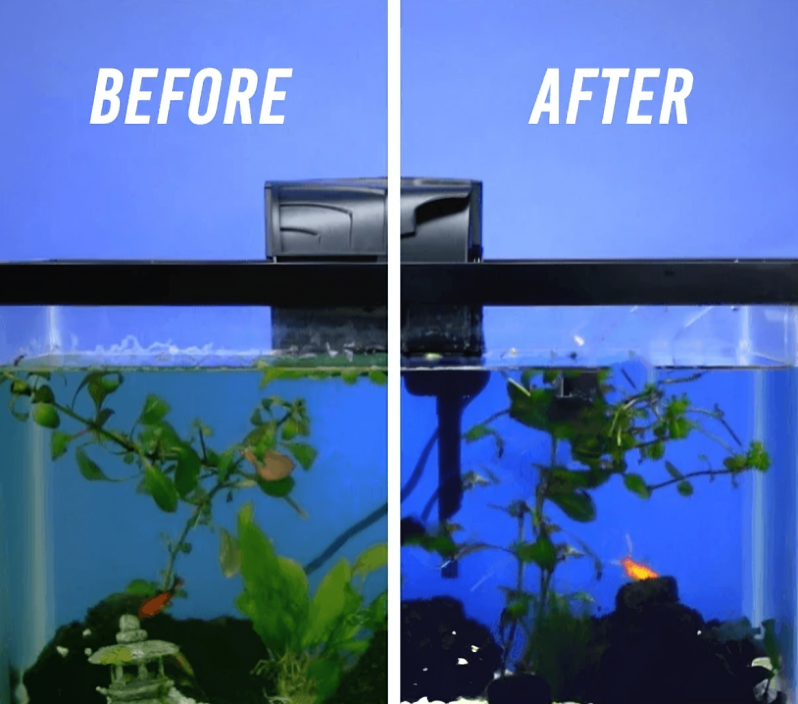 1 + 1 GRATUIT AUJOURD'HUI | AquaCube™ | Cube de traitement de l'eau