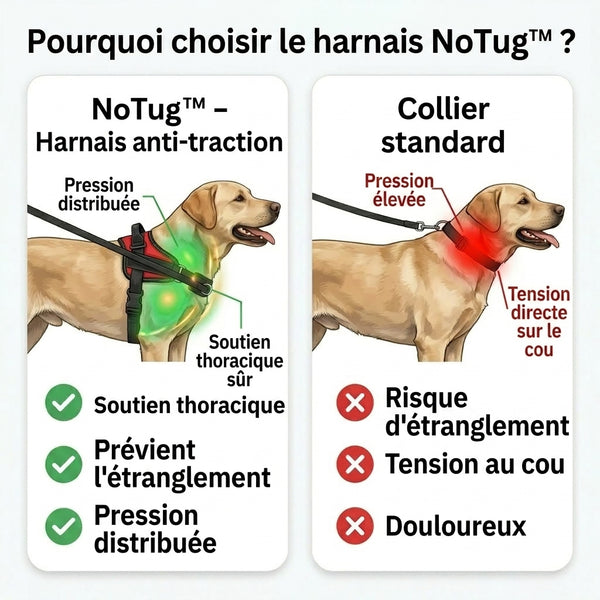 50 % DE REMISE TEMPORAIRE  NoTug™ - Harnais anti-traction