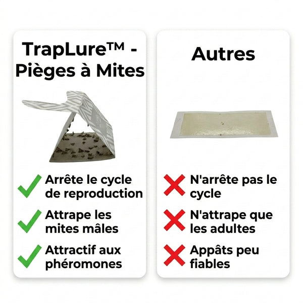 50 % DE REMISE TEMPORAIRE  TrapLure™ - Pièges à mites