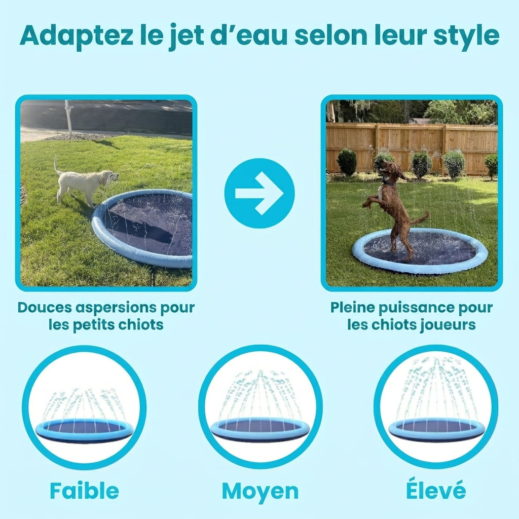 -50 % · OFFRE LIMITÉE · SplashPaws™ · Tapis d'éclaboussures