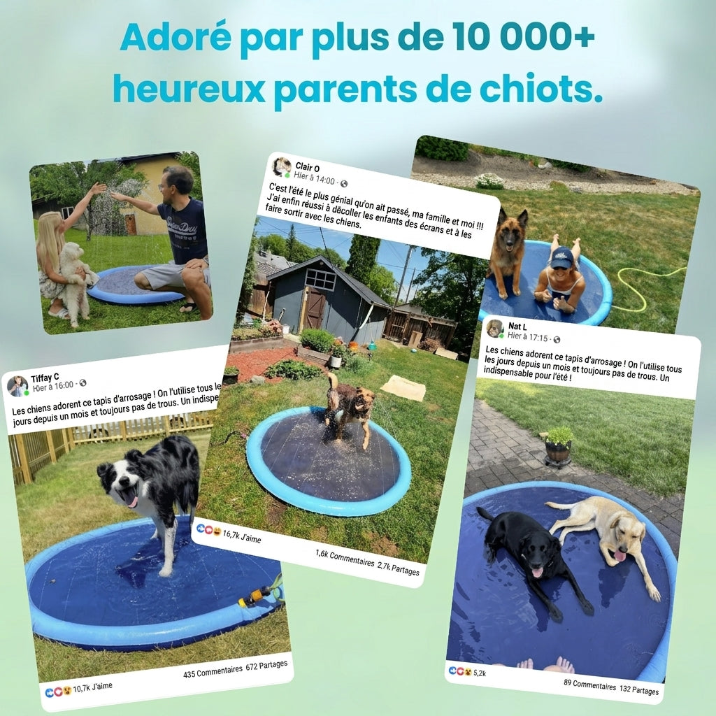 -50 % · OFFRE LIMITÉE · SplashPaws™ · Tapis d'éclaboussures