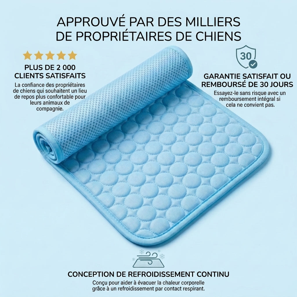 1+1 OFFERT · AUJOURD'HUI · ArcticRest™ · Tapis rafraîchissant