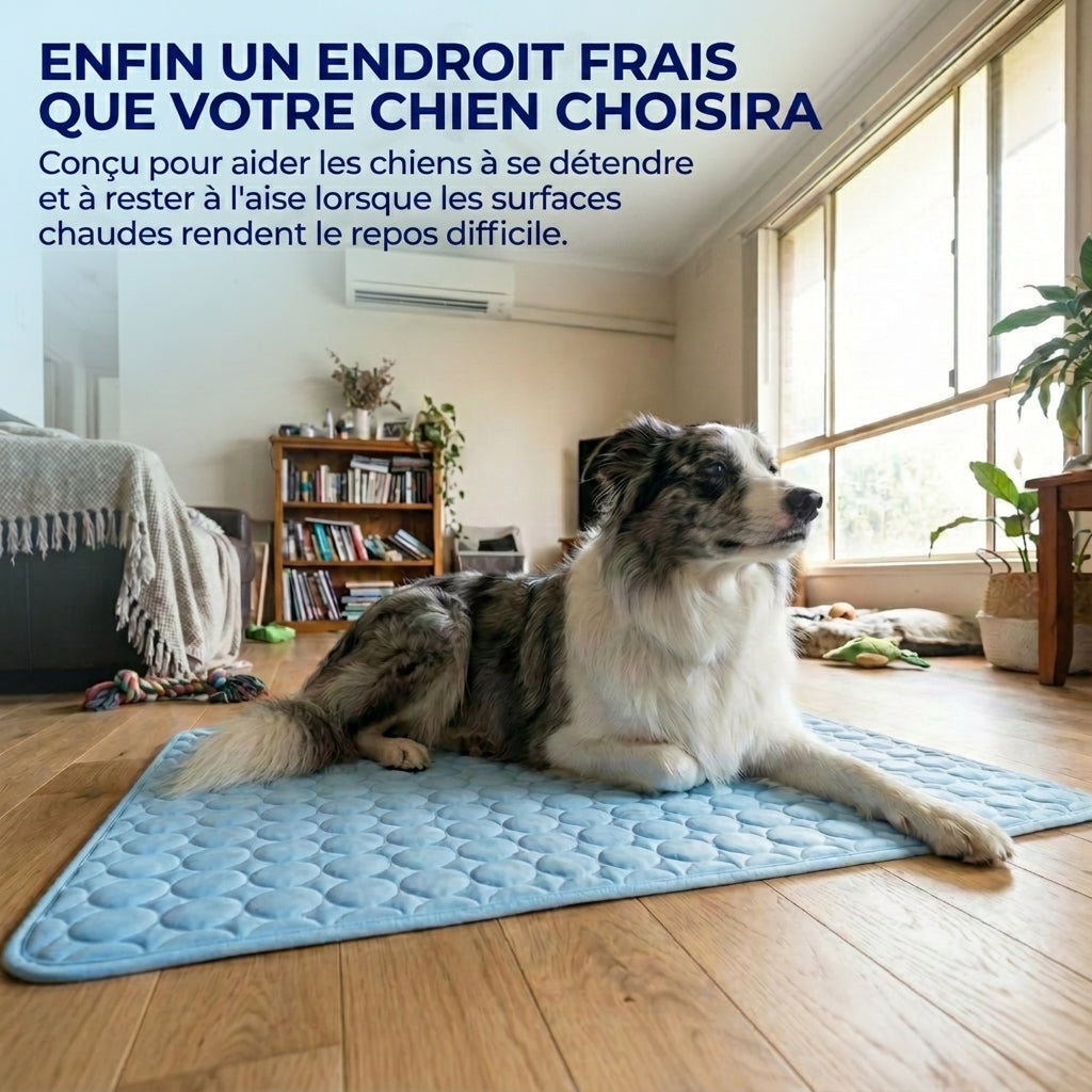 1+1 OFFERT · AUJOURD'HUI · ArcticRest™ · Tapis rafraîchissant