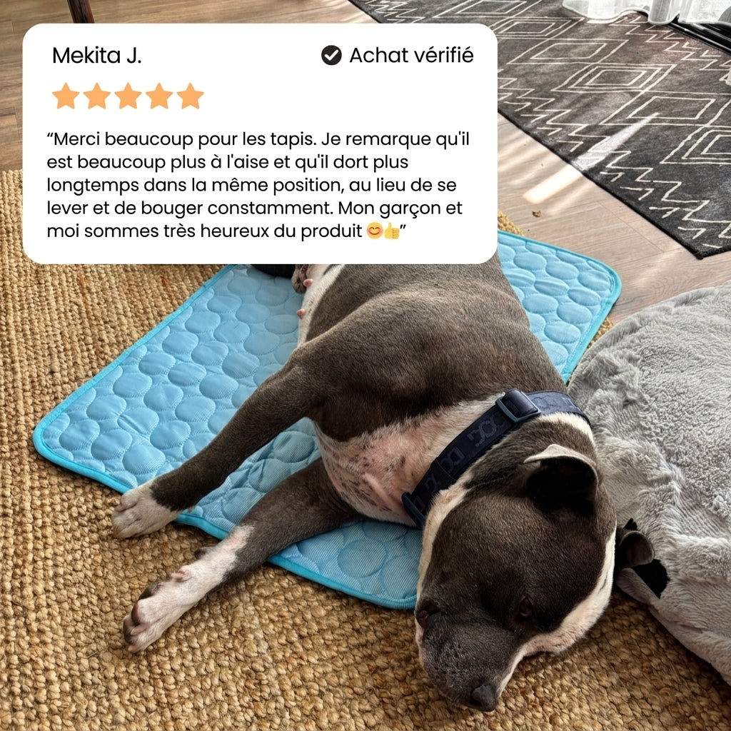 1+1 OFFERT · AUJOURD'HUI · ArcticRest™ · Tapis rafraîchissant