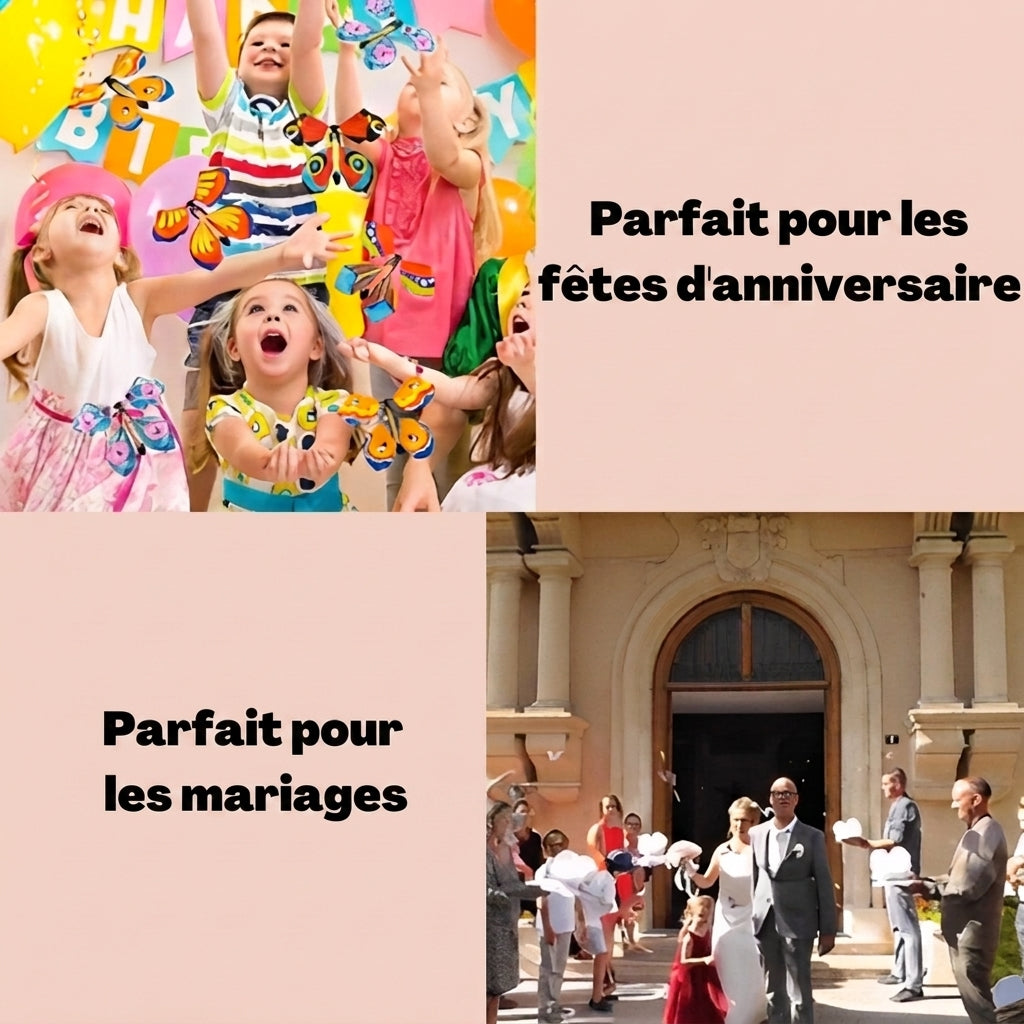 1+1 OFFERT · AUJOURD'HUI · FlyButterfly™ · Surprise Volante