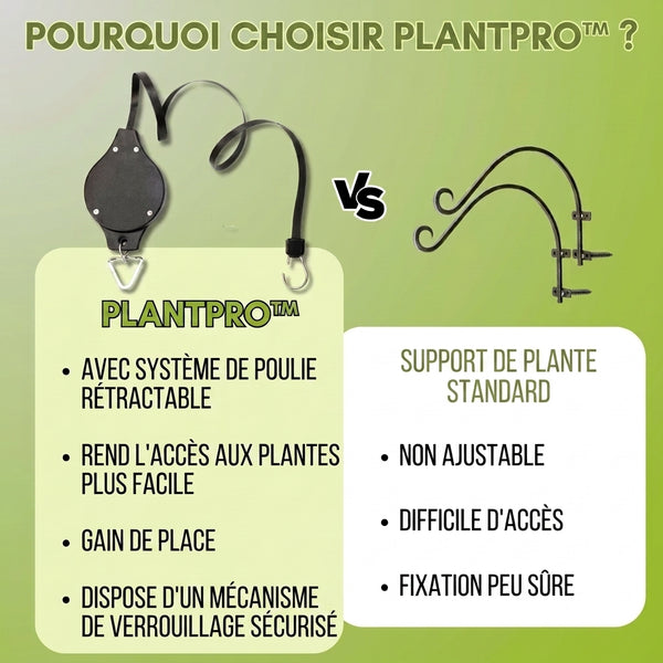 1+1 OFFERT · AUJOURD