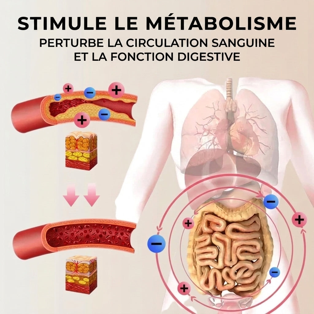 1+1 OFFERT · AUJOURD'HUI · Slim&Tone™ · Perdez votre graisse abdominale rapidement grâce à la techno