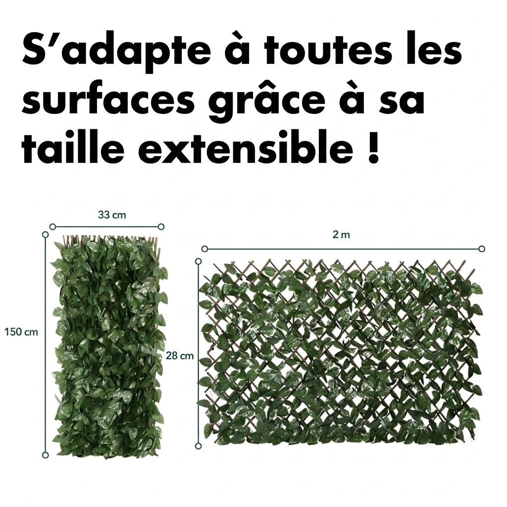 1+1 OFFERT · AUJOURD'HUI · Gardenscape™ · Brise-vue