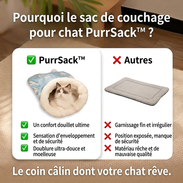 1+1 OFFERT · AUJOURD