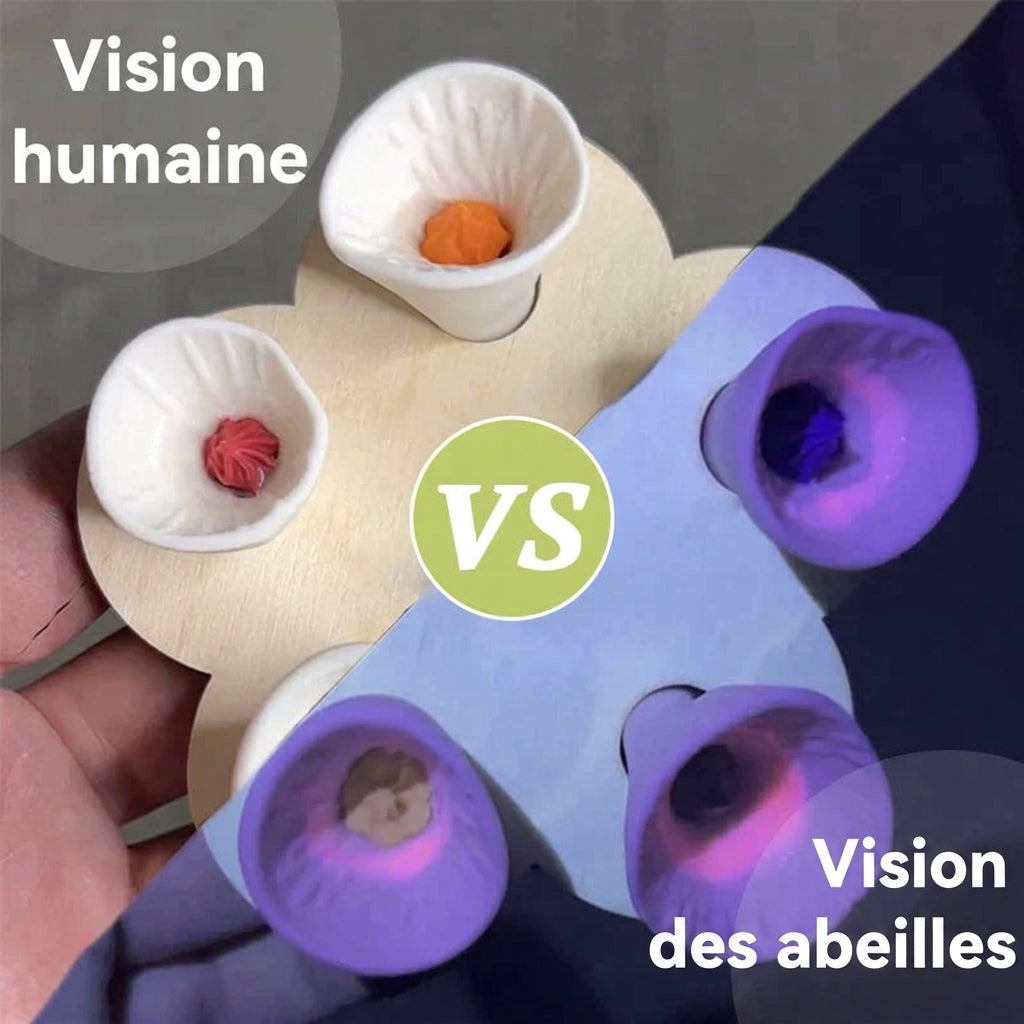 -50 % · OFFRE LIMITÉE · BeeQuench™ · Lot de 5 coupelles d'abreuvement pour abeilles