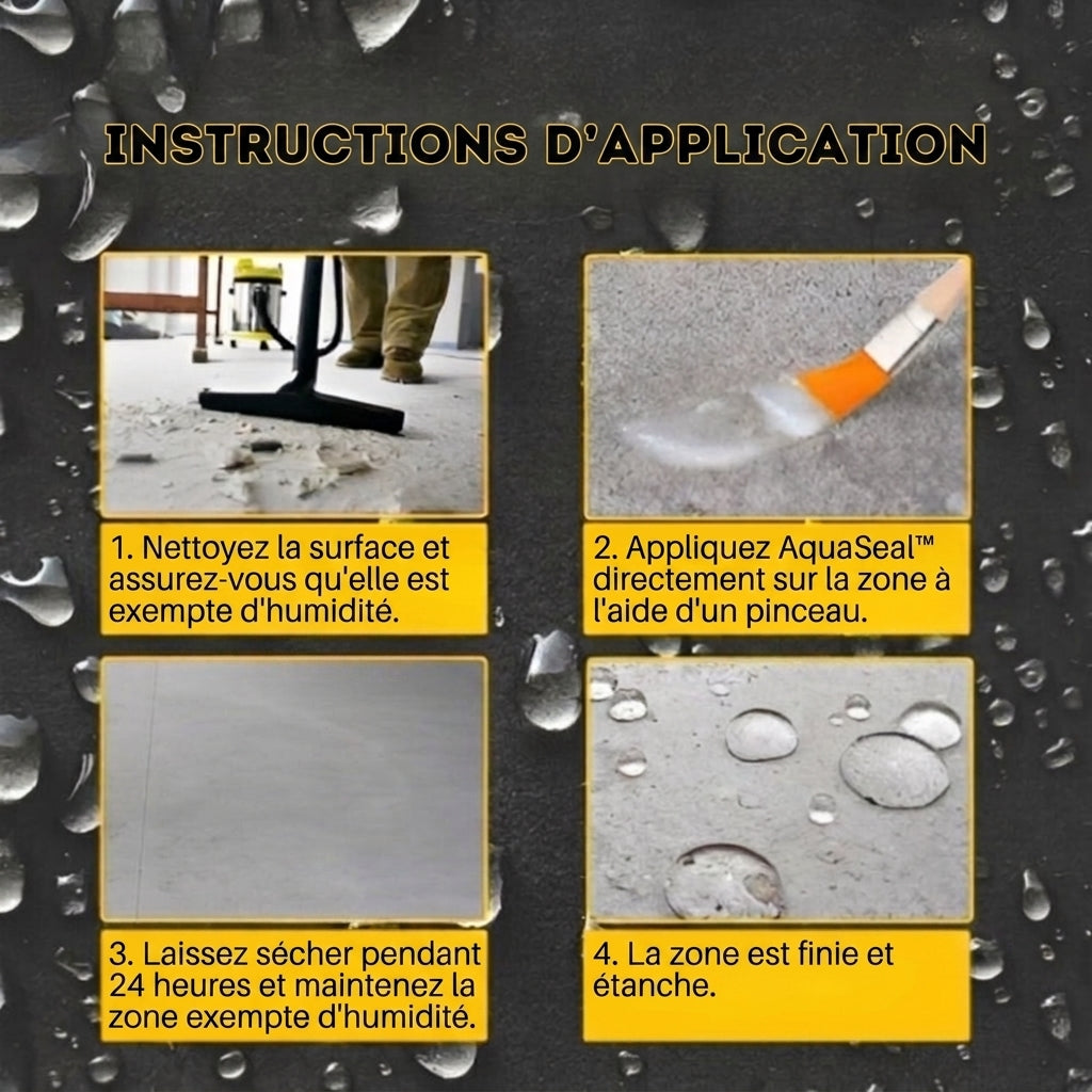 1+1 OFFERT · AUJOURD'HUI · AquaSeal™ · Protégez votre maison des conditions météorologiques extrêmes