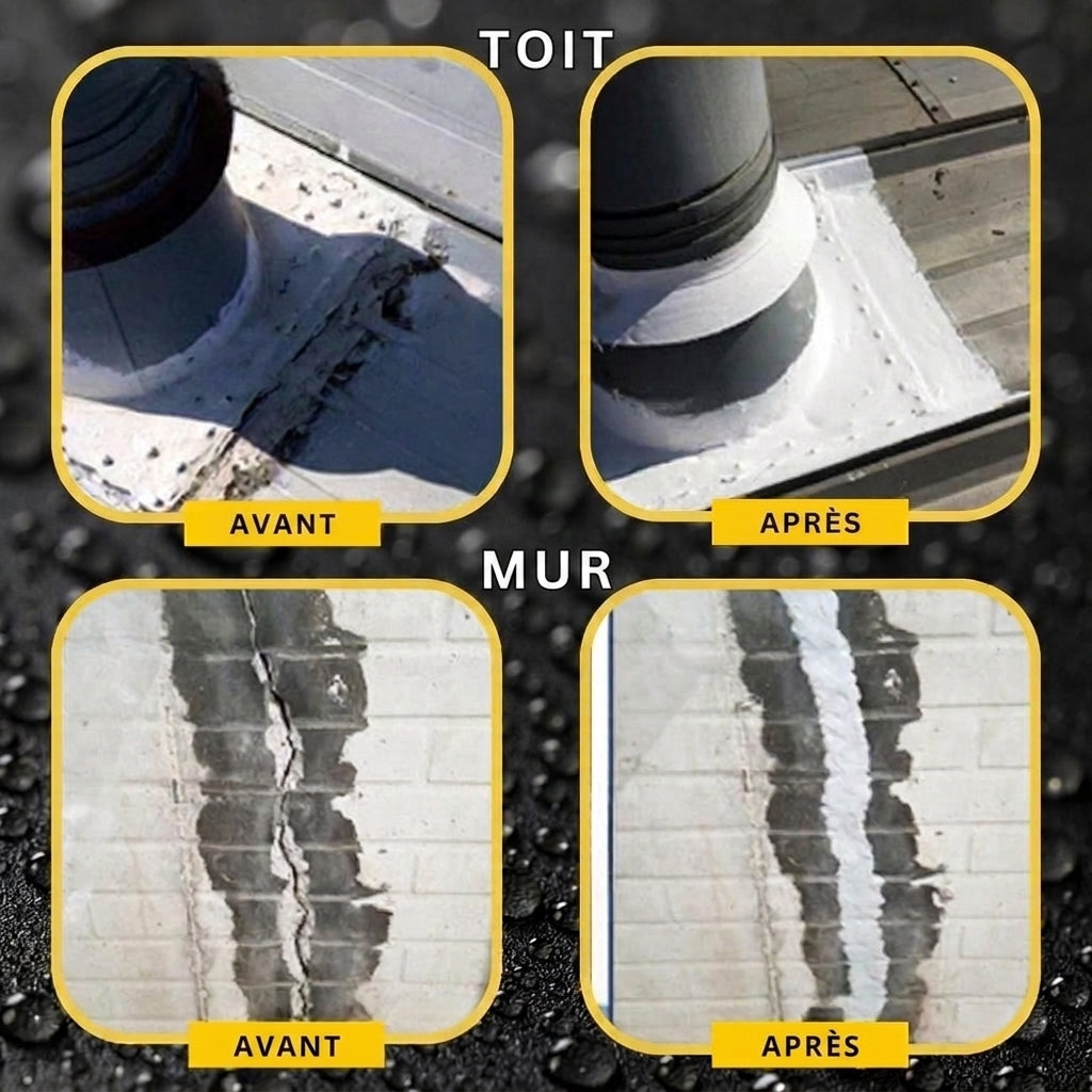 1+1 OFFERT · AUJOURD'HUI · AquaSeal™ · Protégez votre maison des conditions météorologiques extrêmes