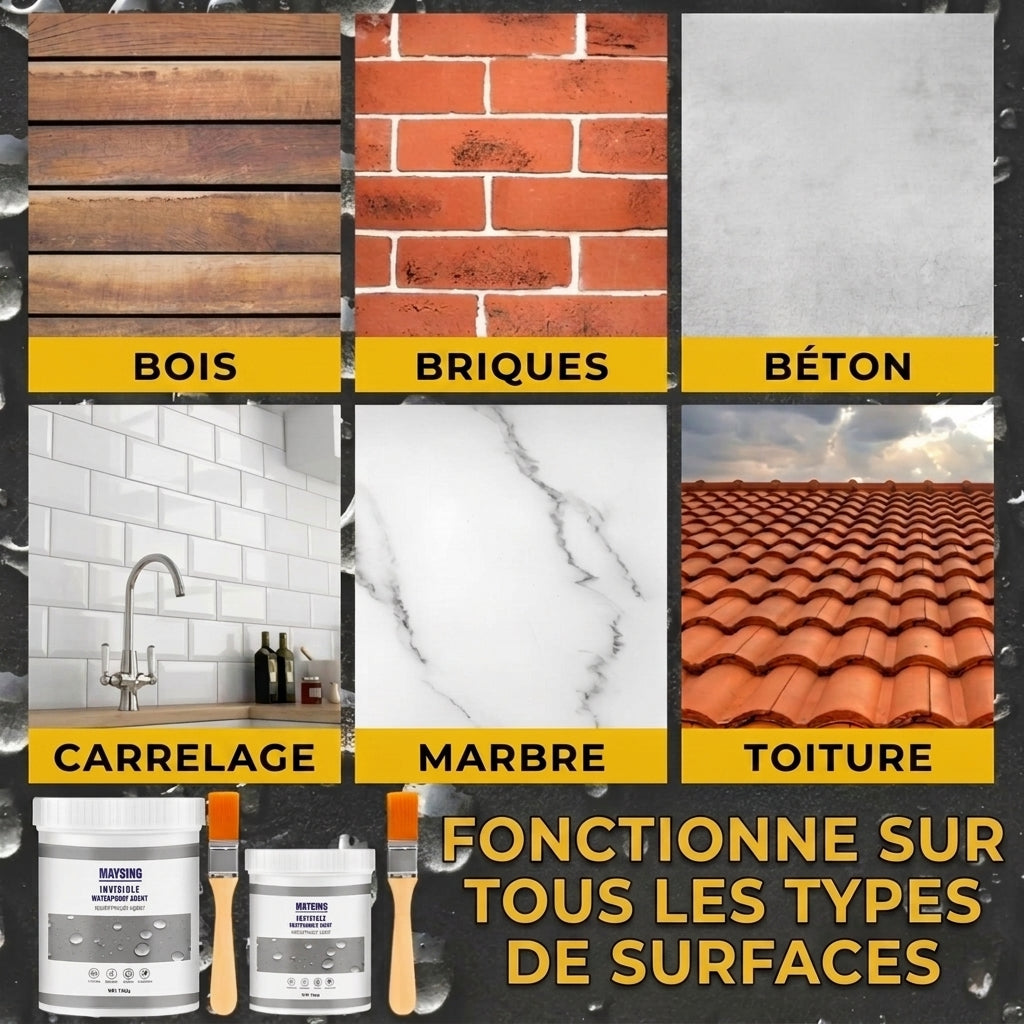 1+1 OFFERT · AUJOURD'HUI · AquaSeal™ · Protégez votre maison des conditions météorologiques extrêmes