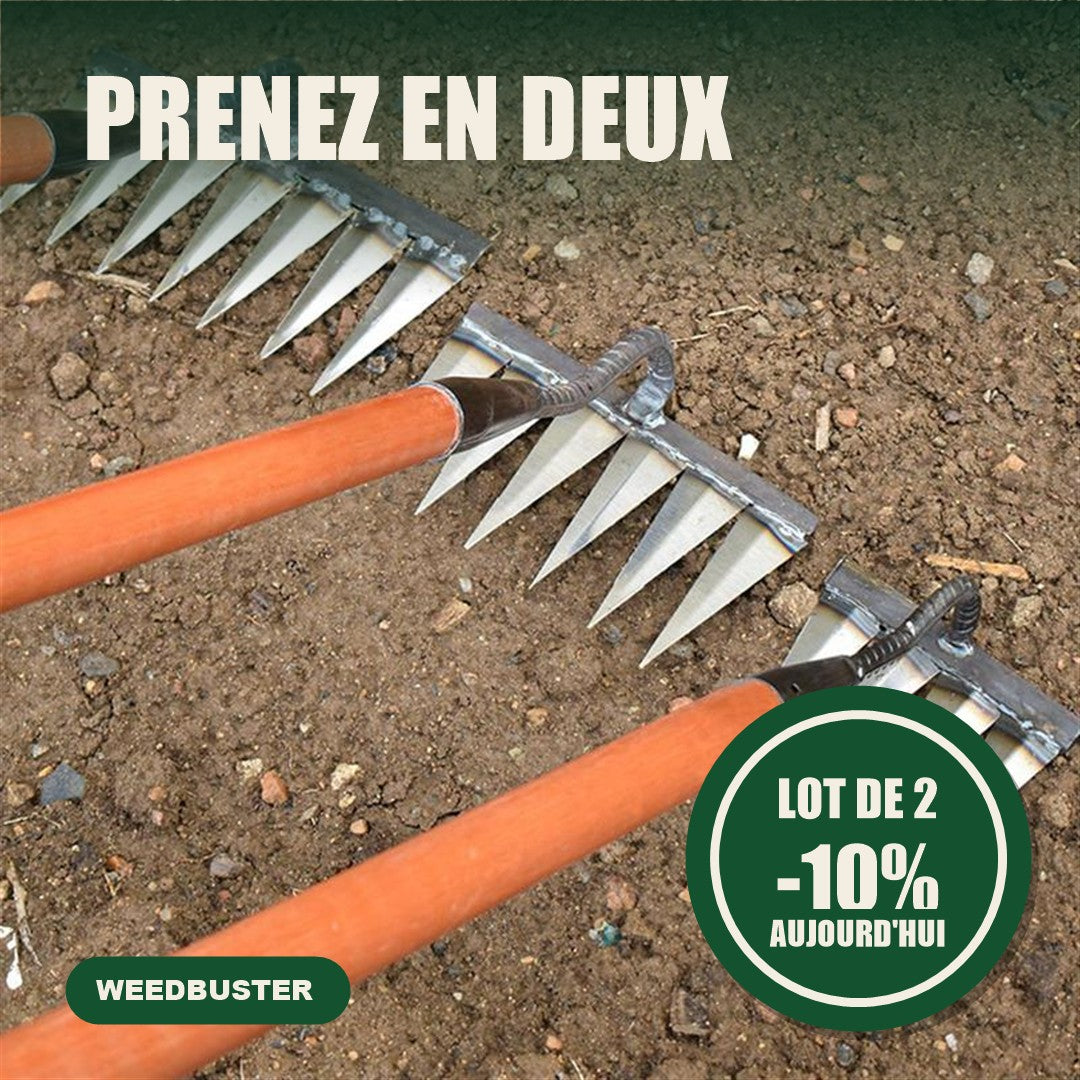Prenez en deux : lot de 2 avec 10% de remise supplementaire