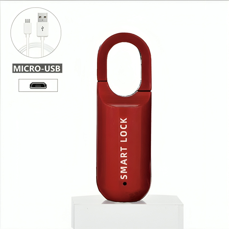 50 % DE REMISE TEMPORAIRE | EvoLock™ | Mini-cadenas biométrique
