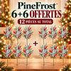 Photographie produit pinefrost en français