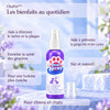 -50 % · OFFRE LIMITÉE · OraPet™ ·  Des dents et des gencives saines grâce au spray dentaire pour animaux !