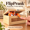 Photographie produit flipprank en français