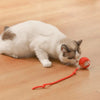 1+1 OFFERT · AUJOURD'HUI · WhirlPaw™ · Balle interactive pour animaux