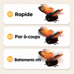 -50 % · OFFRE LIMITÉE · PawBuzz™ · Jouet interactif pour chat volant