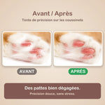 1+1 OFFERT · AUJOURD'HUI · TidyPaws™ · Tondeuse LED Pro pour animaux