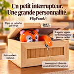 Photographie produit flipprank en français