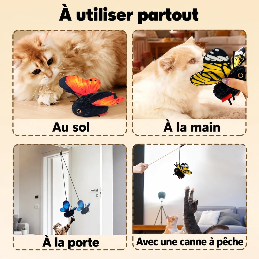 -50 % · OFFRE LIMITÉE · PawBuzz™ · Jouet interactif pour chat volant