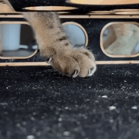 50 % DE REMISE TEMPORAIRE  ScratchHub™