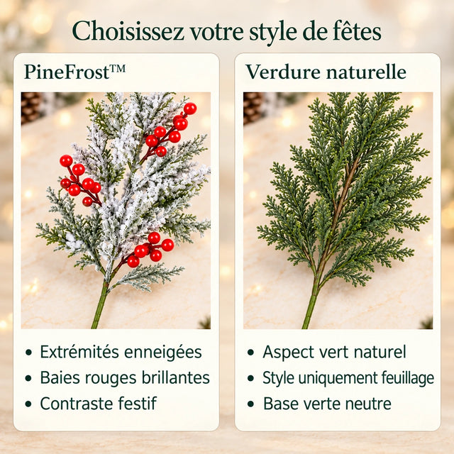 Photographie produit pinefrost en français