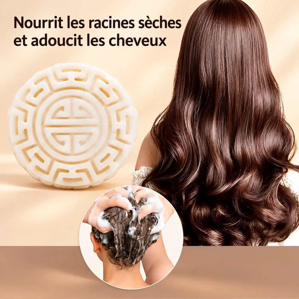 1+1 OFFERT · AUJOURD'HUI · SorcerySoap™ · Barre de shampoing anti-chute de cheveux