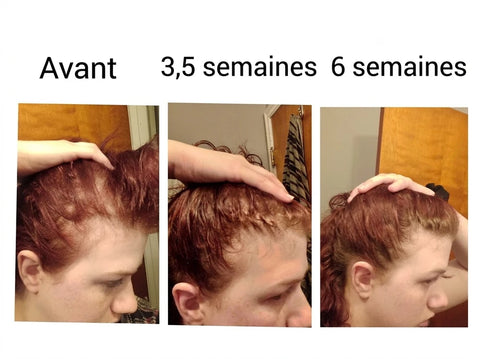 Avis client