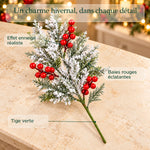 Photographie produit pinefrost en français