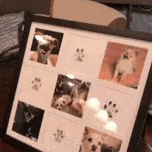 -50 % · OFFRE LIMITÉE · PawMemoirs™ · Souvenirs avec empreintes de pattes