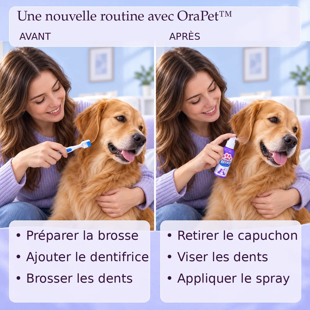 -50 % · OFFRE LIMITÉE · OraPet™ ·  Des dents et des gencives saines grâce au spray dentaire pour animaux !