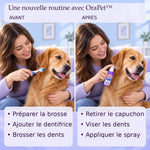 -50 % · OFFRE LIMITÉE · OraPet™ ·  Des dents et des gencives saines grâce au spray dentaire pour animaux !