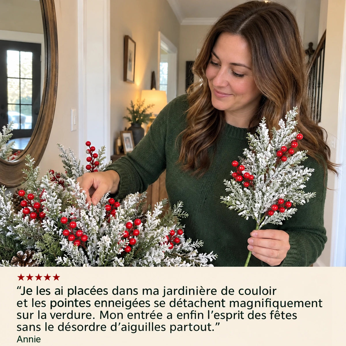 Photographie produit pinefrost en français