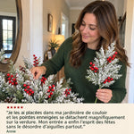 Photographie produit pinefrost en français