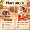 1+1 OFFERT · AUJOURD'HUI · WhirlPaw™ · Balle interactive pour animaux